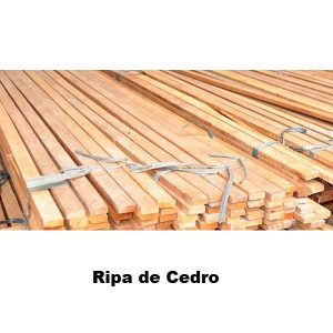 Ripa de Cedro